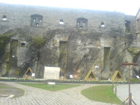 arriver a temps pour un spectacle de rapaces