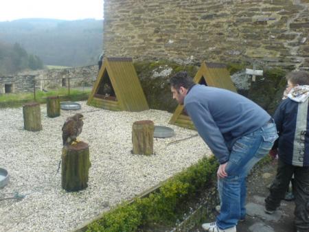 claude qui admire le faucon