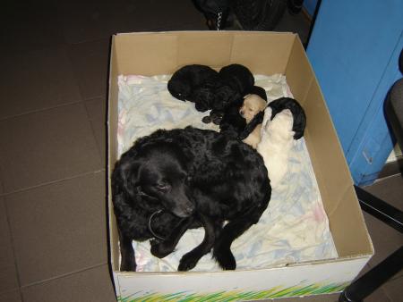 Bon d'accors c'est pas mais b�b�s mais les siens lol !!!