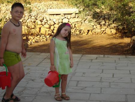 arrosage des plantes